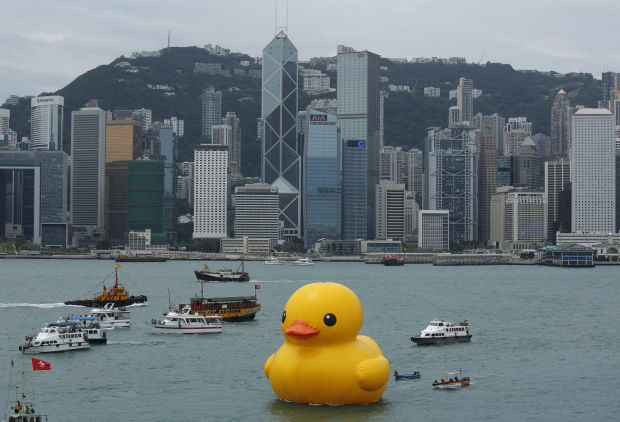 Photos: Duck, duck...boat?